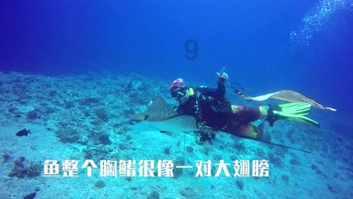 火柴人终极挑战
