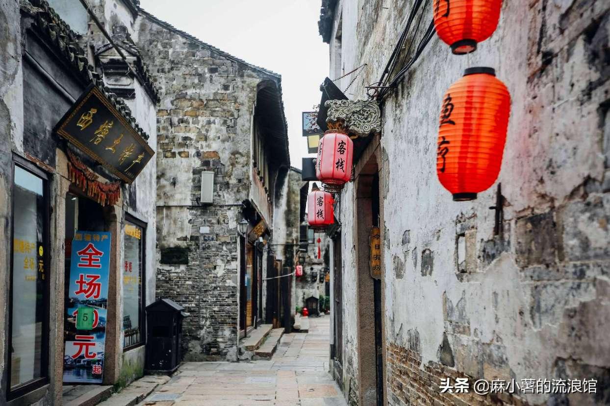 美人鱼的聚会
